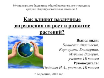 Проект Как влияют различные загрязнения на рост и развитие растений