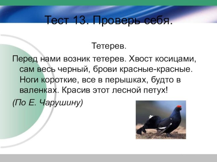 Тест 13. Проверь себя. Тетерев.Перед нами возник тетерев. Хвост косицами, сам весь