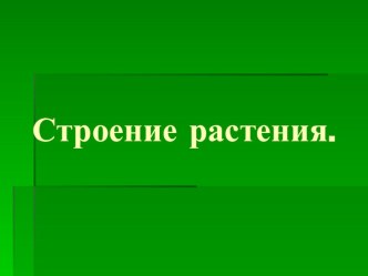 Презентация к уроку природоведения в 5 классе на тему :Строение растения