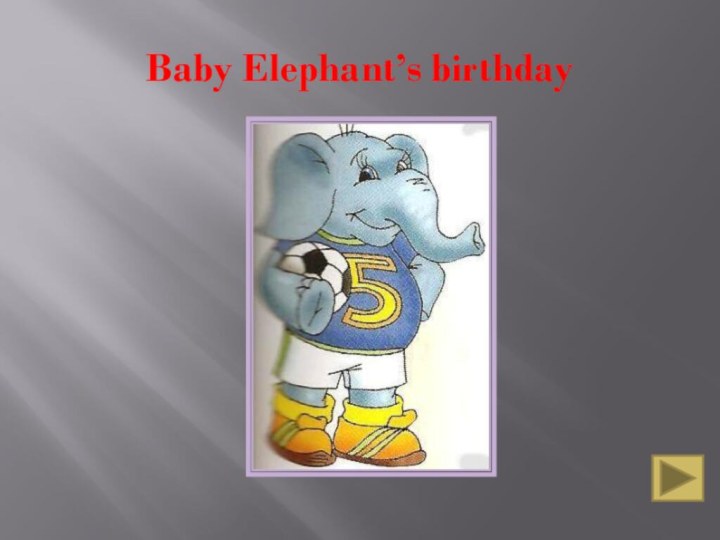 Baby Elephant’s birthday