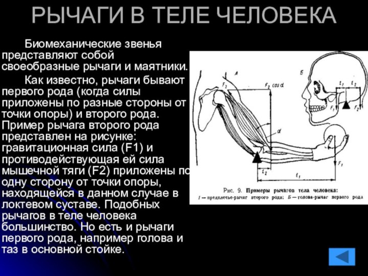 РЫЧАГИ В ТЕЛЕ ЧЕЛОВЕКА		Биомеханические звенья представляют собой своеобразные рычаги и маятники.		Как известно,