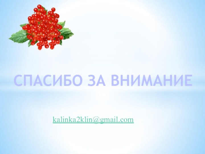 kalinka2klin@gmail.com СПАСИБО ЗА ВНИМАНИЕ