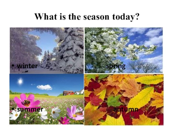 What is the season today?  winter