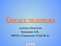 Презентация по биологии 8класс Скелет человека