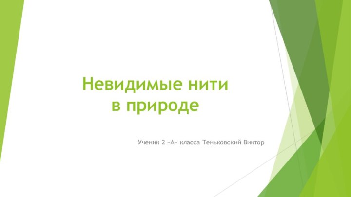 Невидимые нити  в природеУченик 2 «А» класса Теньковский Виктор