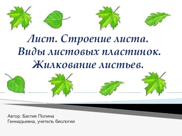 Лист. Строение листа.  Виды листовых пластинок. Жилкование листьев.Автор: Баглик Полина Геннадьевна, учитель биологии