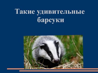 Дополнительный материал по литературному чтению при работе над произведением К. Д. Паустовского  Барсучий нос П