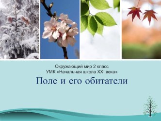 Презентация по окружающему миру на тему: поле и его обитатели 2 класс Начальная школа 21 века