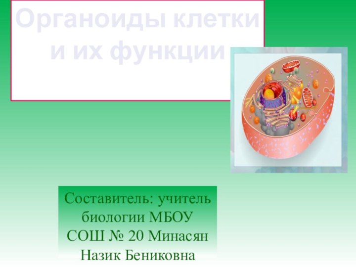 Составитель: учитель биологии МБОУ СОШ № 20 Минасян Назик БениковнаОрганоиды клетки и их функции