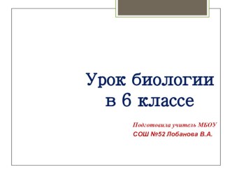 Презентация к уроку Плоды. Разнообразие и значение плодов