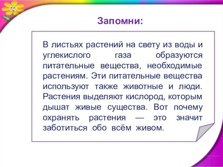 В листьях растений на свету из воды и углекислого газа образуются питательные