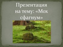 Презентация к окружающему миру. Мох сфагнум