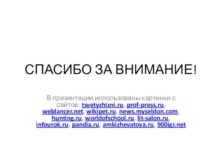 СПАСИБО ЗА ВНИМАНИЕ!В презентации использованы картинки с сайтов: tsvetyzhizni.ru, prof-press.ru, weblancer.net, wikipet.ru,