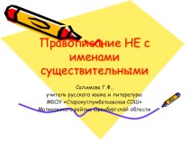 Презентация по русскому языку по теме Правописание НЕ с именами существительными