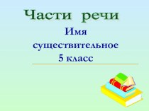 Презентация по русскому языку на тему Имя существительное