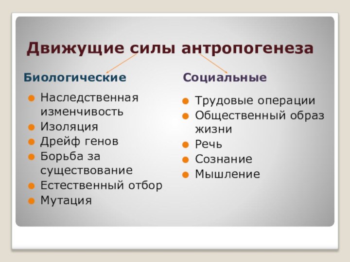 Движущие силы антропогенезаБиологическиеСоциальные Наследственная изменчивостьИзоляция Дрейф геновБорьба за существованиеЕстественный отборМутацияТрудовые операцииОбщественный образ жизниРечьСознаниеМышление