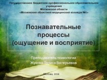 Презентация к уроку по теме Познавательные процессы: ощущение и восприятие