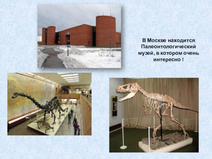 В Москве находится Палеонтологический музей, в котором очень интересно !