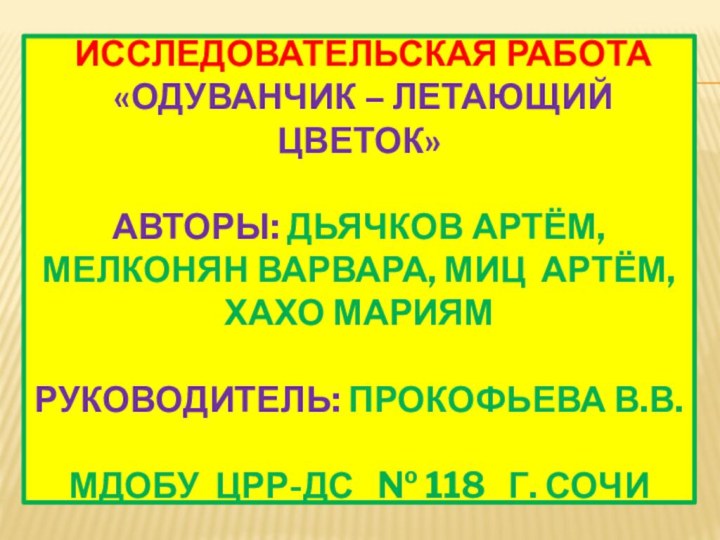 Исследовательская работа  «Одуванчик – летающий цветок»  Авторы: Дьячков Артём,