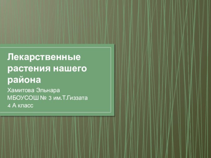 Лекарственные растения нашего районаХамитова ЭльнараМБОУСОШ № 3 им.Т.Гиззата4 А класс