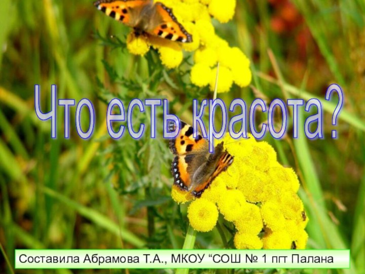 Что есть красота? Составила Абрамова Т.А., МКОУ “СОШ № 1 пгт Палана