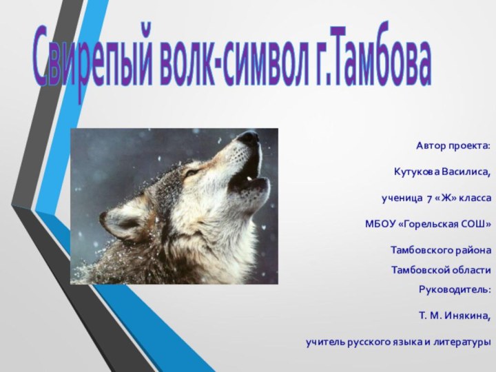 Свирепый волк-символ г.ТамбоваАвтор проекта: Кутукова Василиса, ученица 7 «Ж» класса МБОУ «Горельская