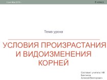 Презентация по биологии на тему Условия произрастания и видоизменения корней 6 класс