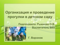 Презентация Организация и проведение прогулки в детском саду