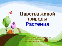 Презентация к уроку биологии Царства живой природы. Растения, 5 класс