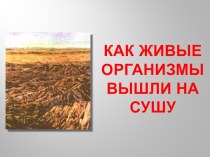 Презентация к уроку Как живые организмы вышли на сушу