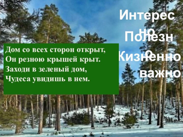 ИнтересноПолезноЖизненно важноДом со всех сторон открыт,Он резною крышей крыт. Заходи в зеленый