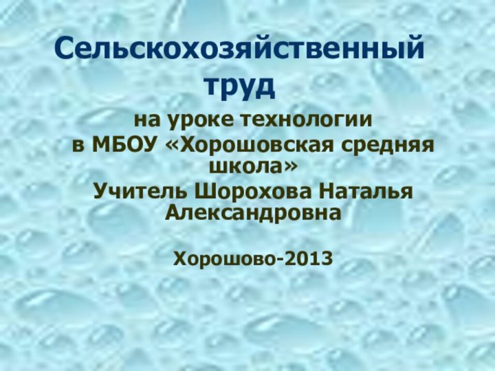 Сельскохозяйственный трудна уроке технологиив МБОУ «Хорошовская средняя школа»Учитель Шорохова Наталья АлександровнаХорошово-2013