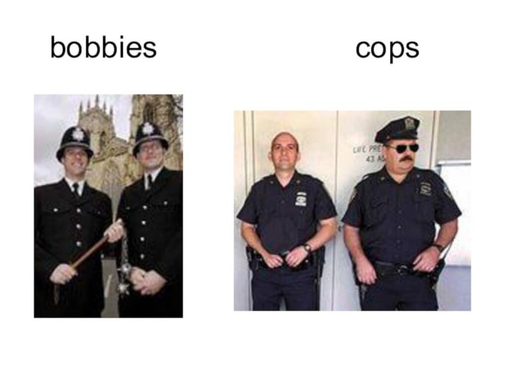 bobbies            cops