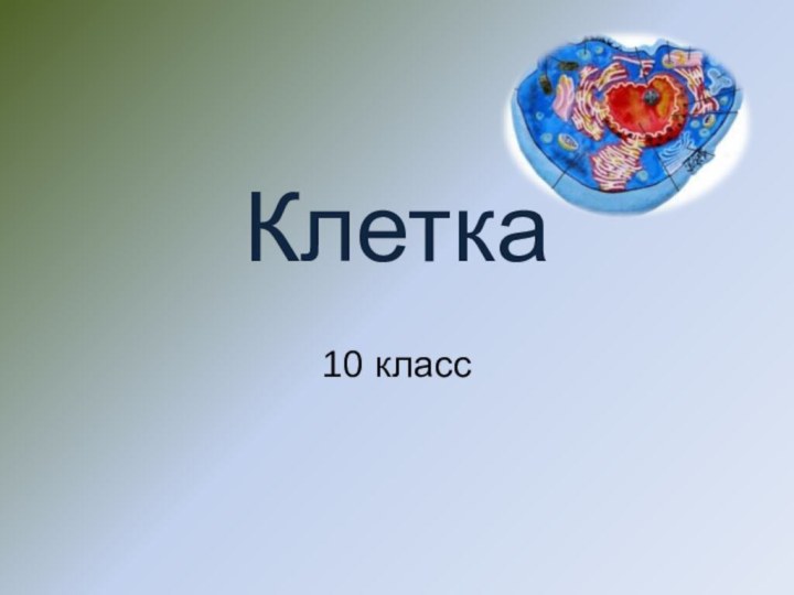 Клетка10 класс