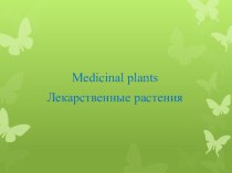 Презентация по английскому языку на Тему Medicinal Plants