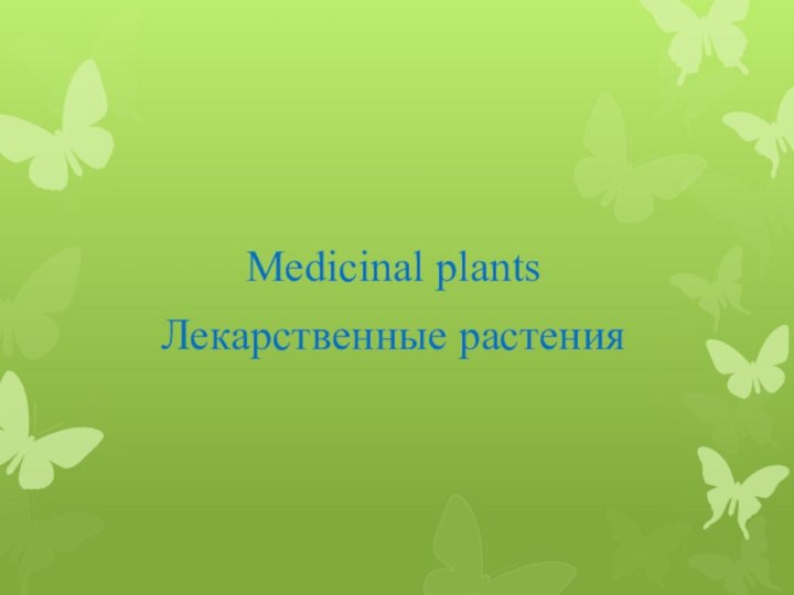 Medicinal plantsЛекарственные растения