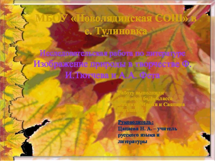 МБОУ «Новолядинская СОШ» в с. Тулиновка Исследовательская работа по литературе Изображение природы