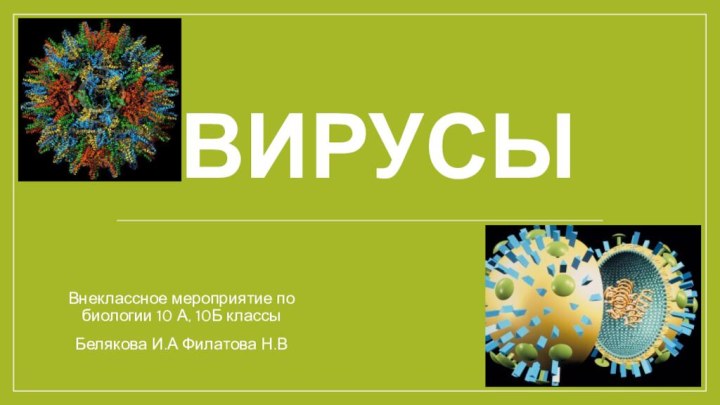 ВирусыВнеклассное мероприятие по биологии 10 А, 10Б классыБелякова И.А Филатова Н.В