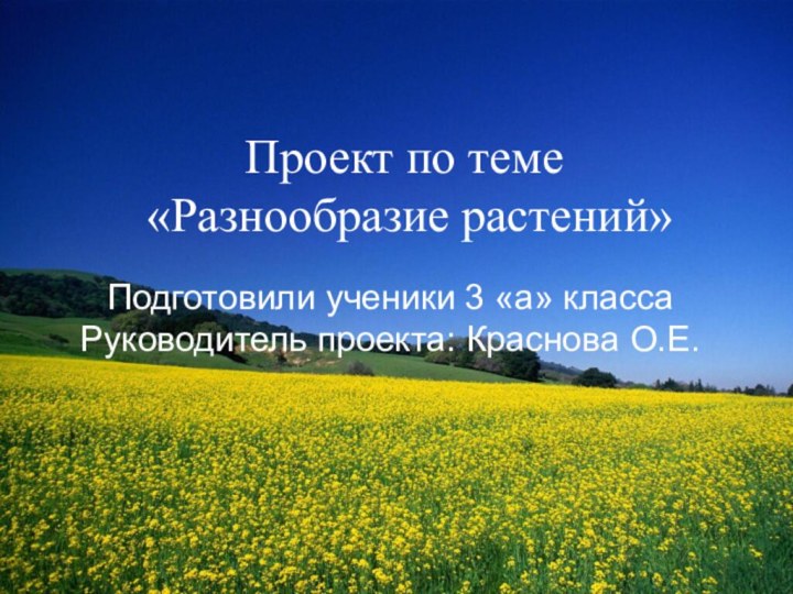 Проект по теме  «Разнообразие растений»Подготовили ученики 3 «а» класса Руководитель проекта: Краснова О.Е.