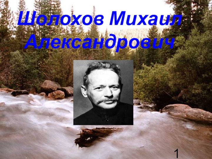 Шолохов Михаил Александрович