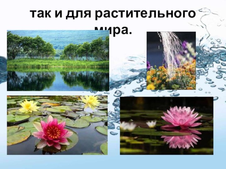 так и для растительного мира.