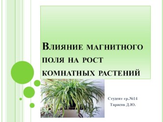 Презентация. Тема: Влияние магнитного поля на рост растений