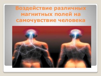 Презентация к уроку Магнитное поле и его воздействие на живые организмы