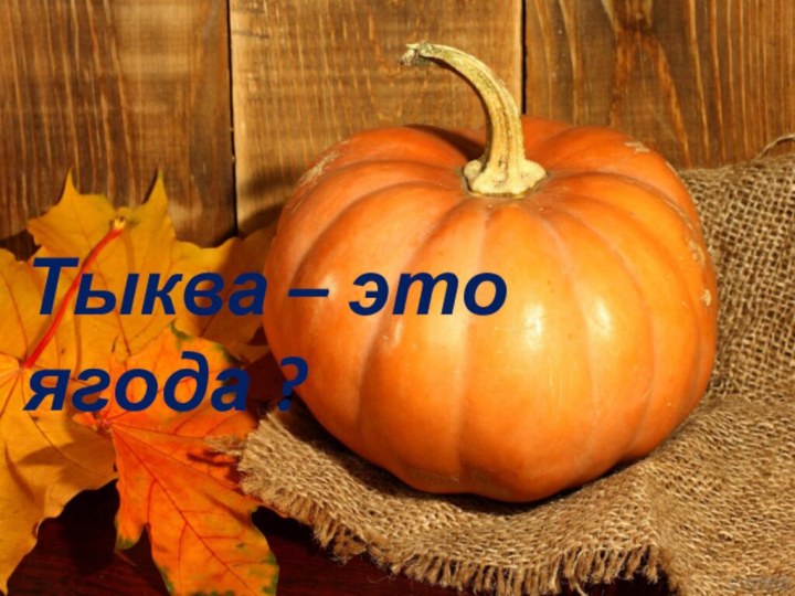 Тыква – это ягода?Тыква – это ягода ?