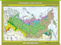 Презентация к уроку окружающего мира Леса России