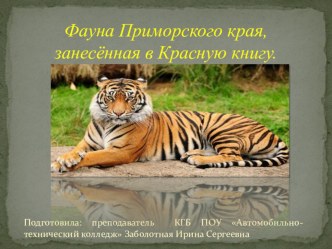 Презентация по биологии Фауна Приморского края