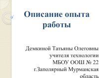 Опыт работы учителя технологии