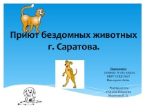 Презентация Приют бездомных животных в Саратове