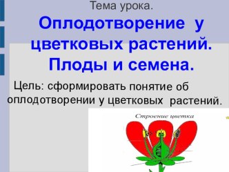 Презентация по биологии 6 класс по теме Оплодотворение у цветковых растений. Плоды и семена