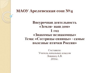 Презентация по внеурочной деятельности Сестрицы-синицы - самые полезные птички России (1-4кл)